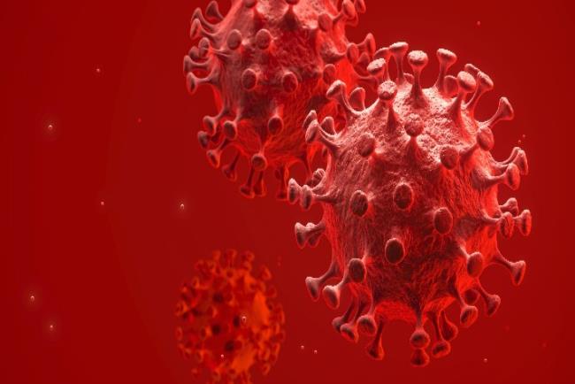 אילוסטרציה: נגיף הקורונה החדש בדם, מדגים את תקופת הדגירה של הוירוס 